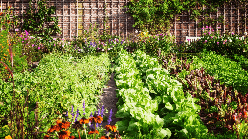 Plant Nutrition: Micronutrients